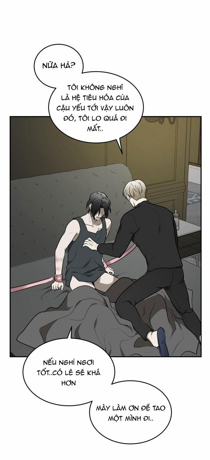 Vivarium 6.5 trang 13