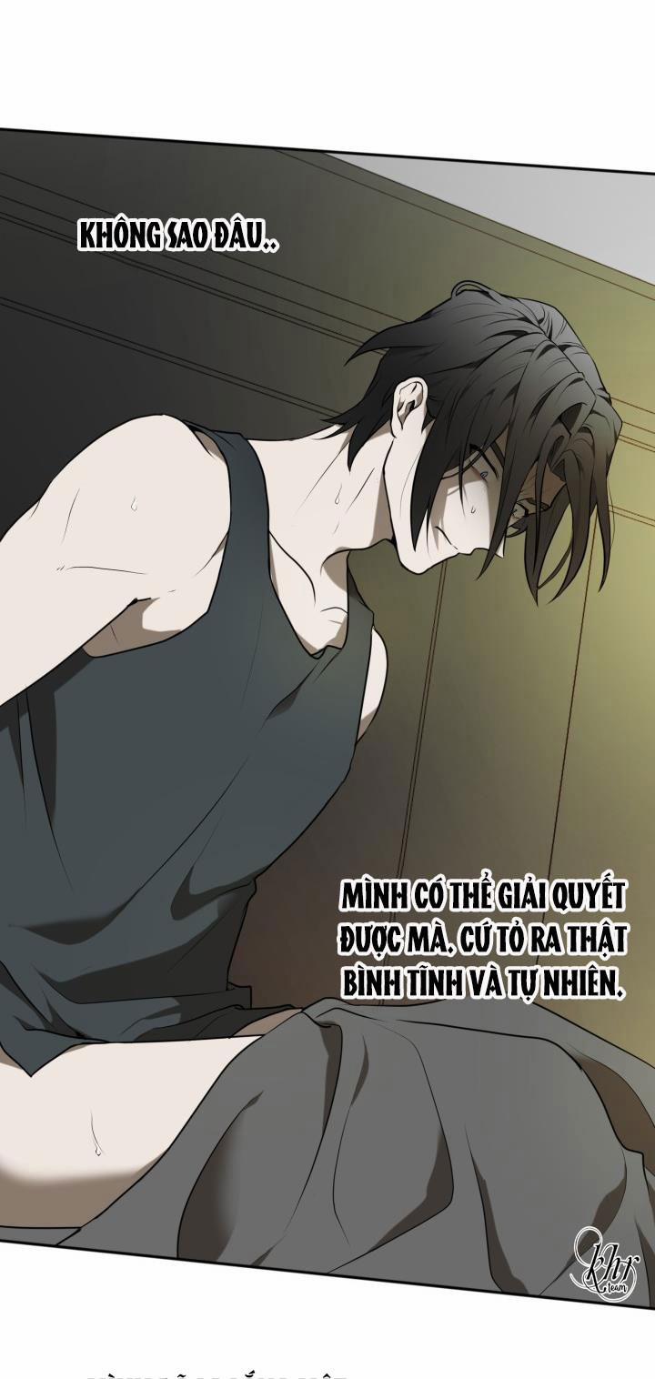 Vivarium 6.5 trang 17