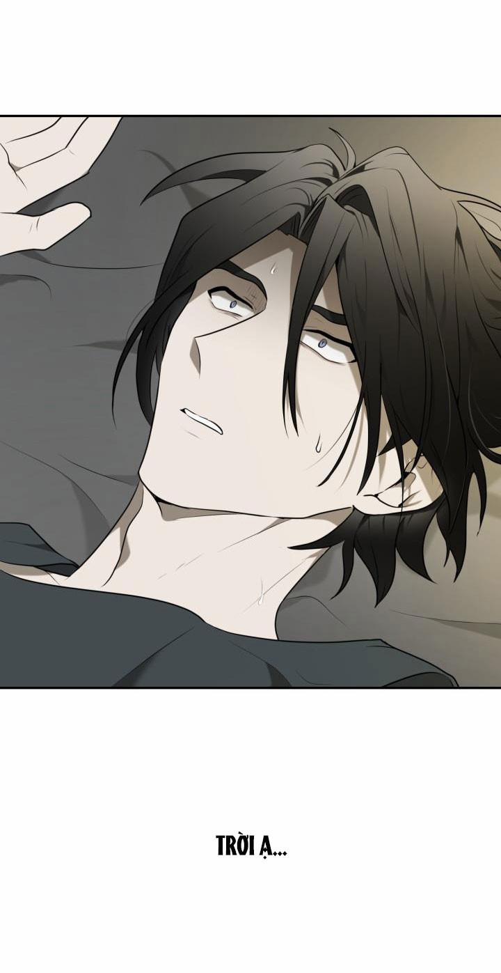 Vivarium 6.5 trang 27