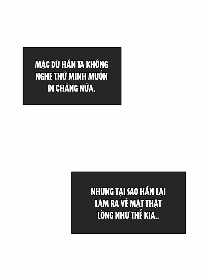 Vivarium 6.5 trang 4