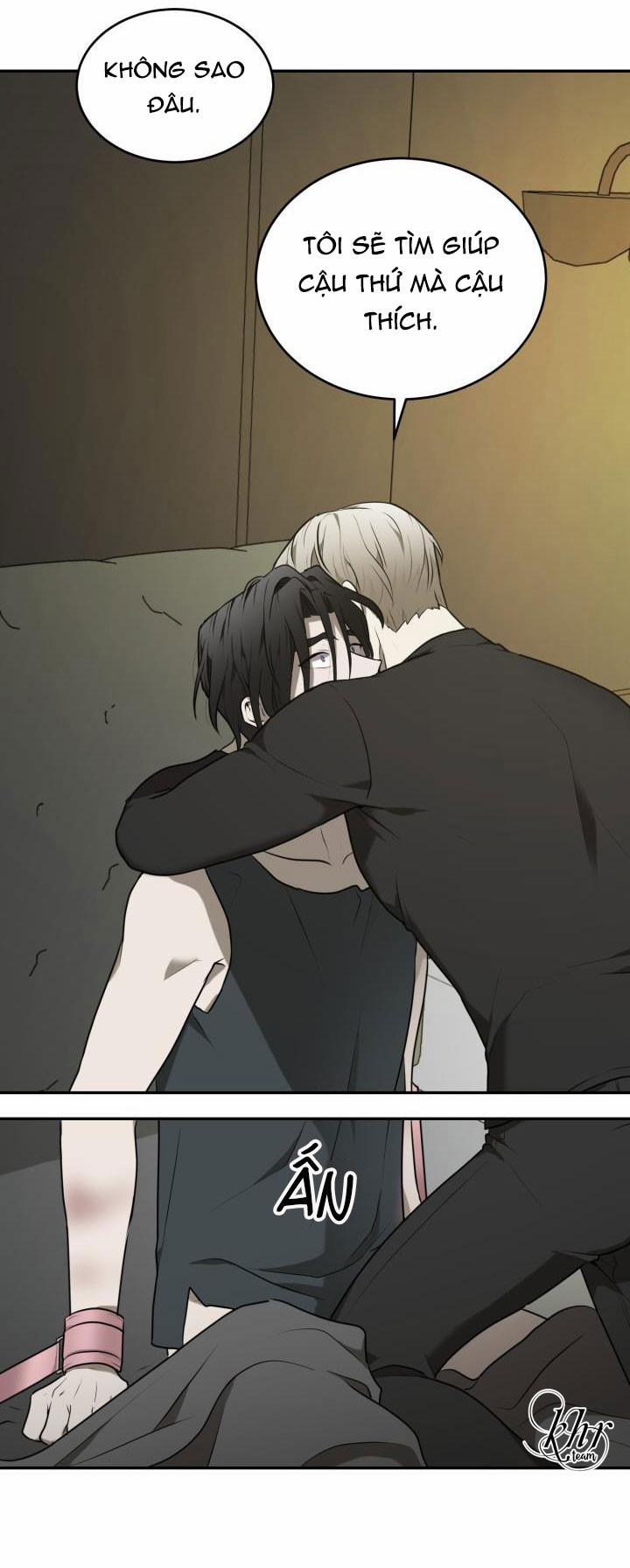 Vivarium 6.5 trang 8