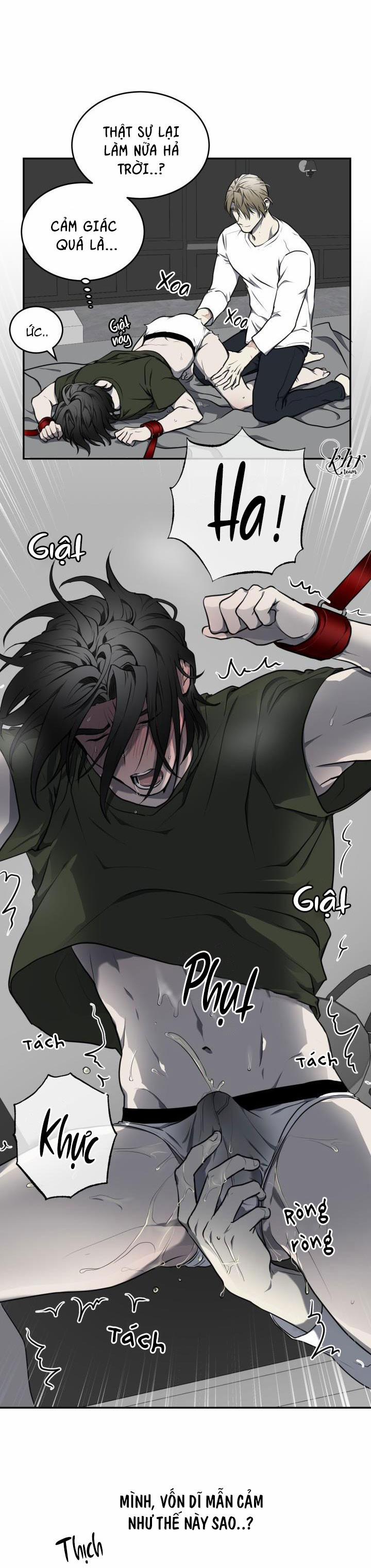 Vivarium 8.5 trang 10