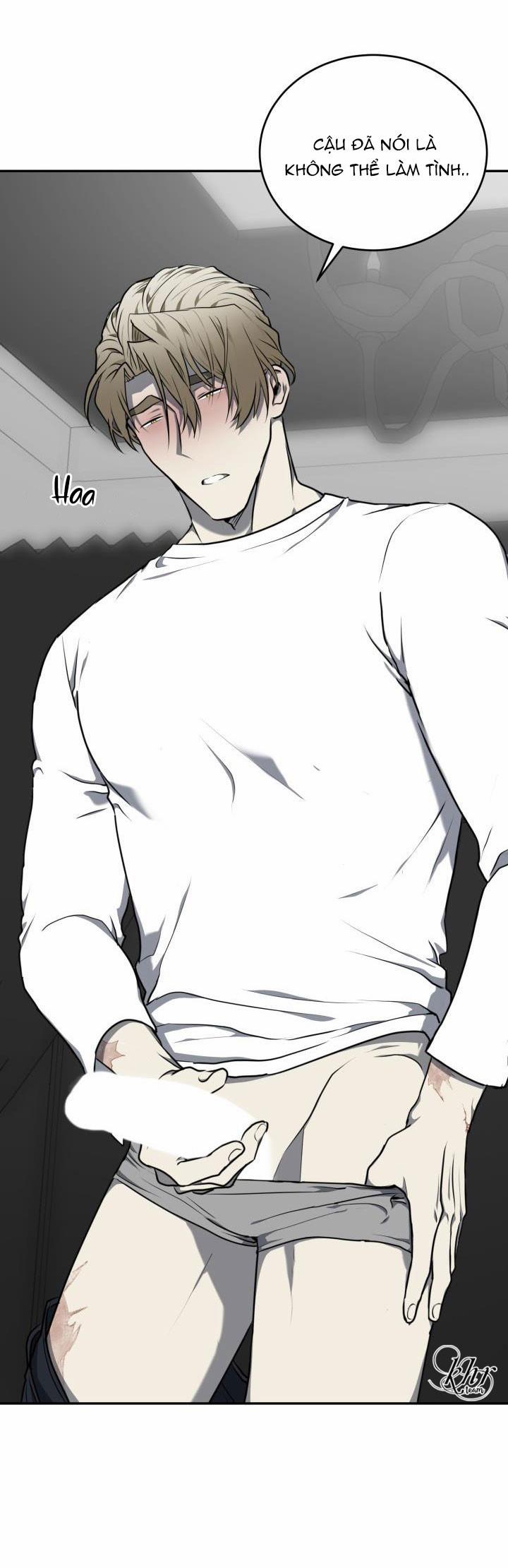 Vivarium 8.5 trang 16