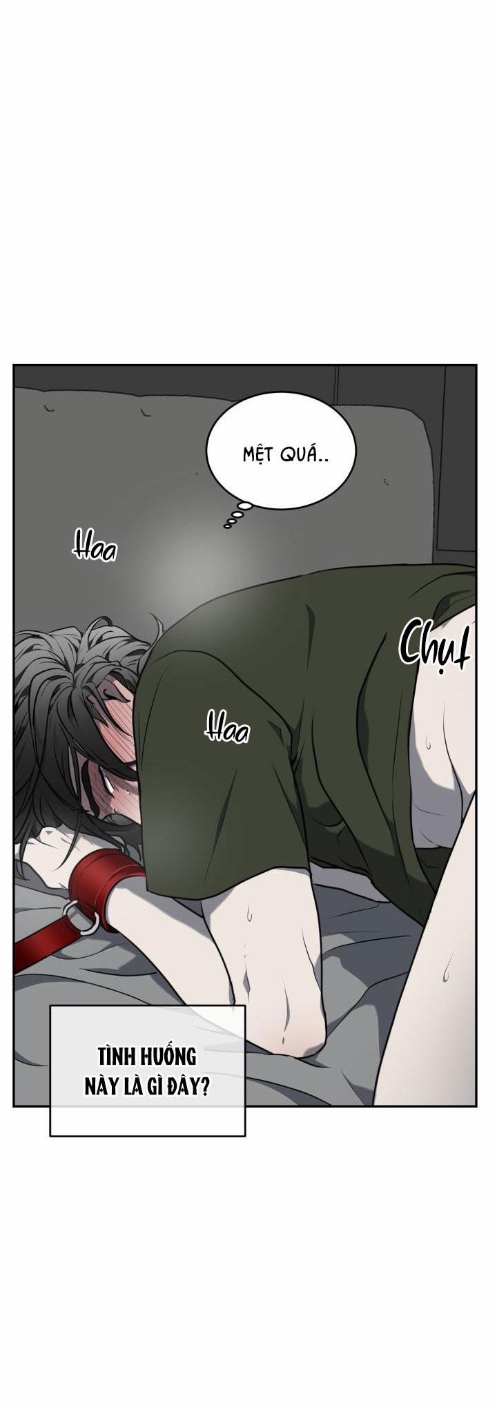 Vivarium 8.5 trang 20