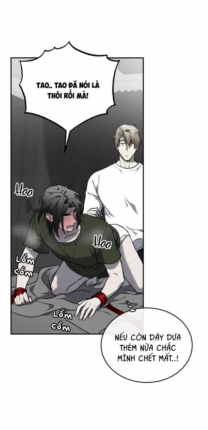 Vivarium 8.5 trang 6