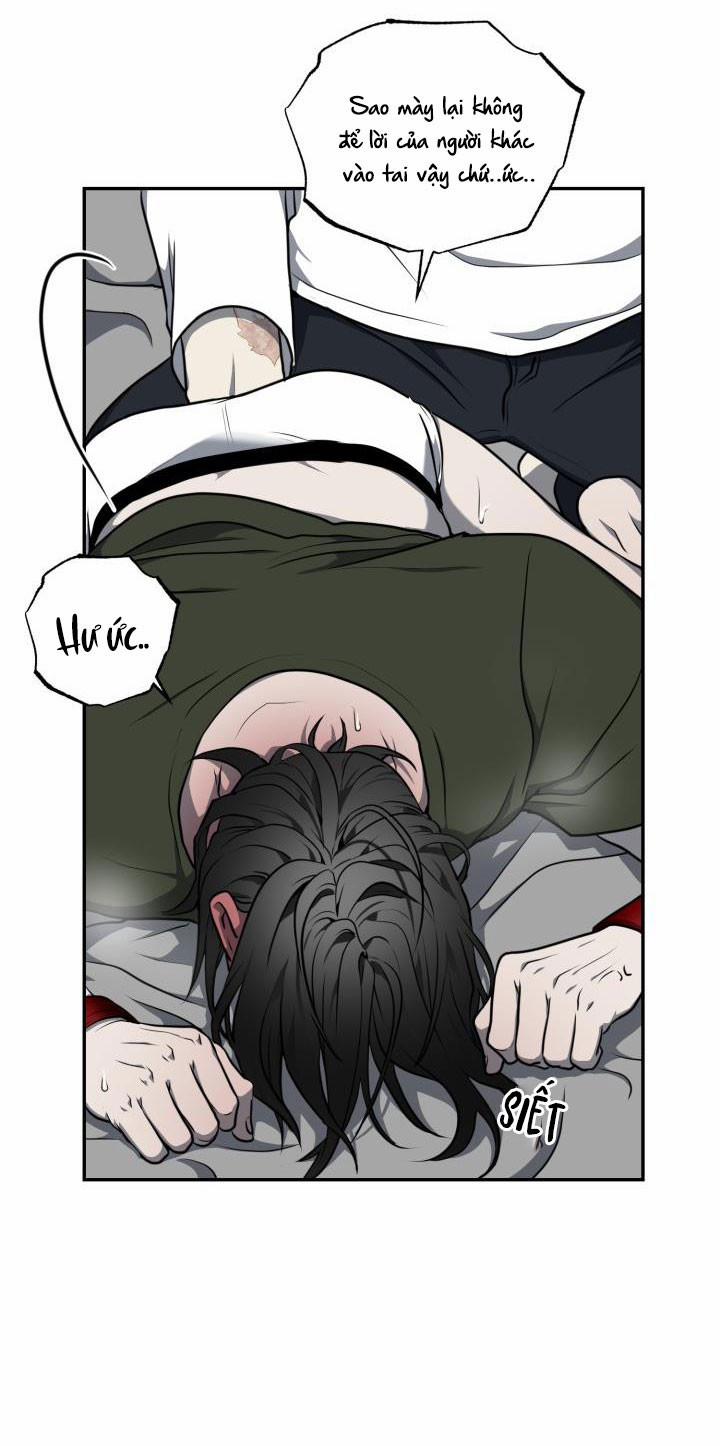 Vivarium 8.5 trang 9