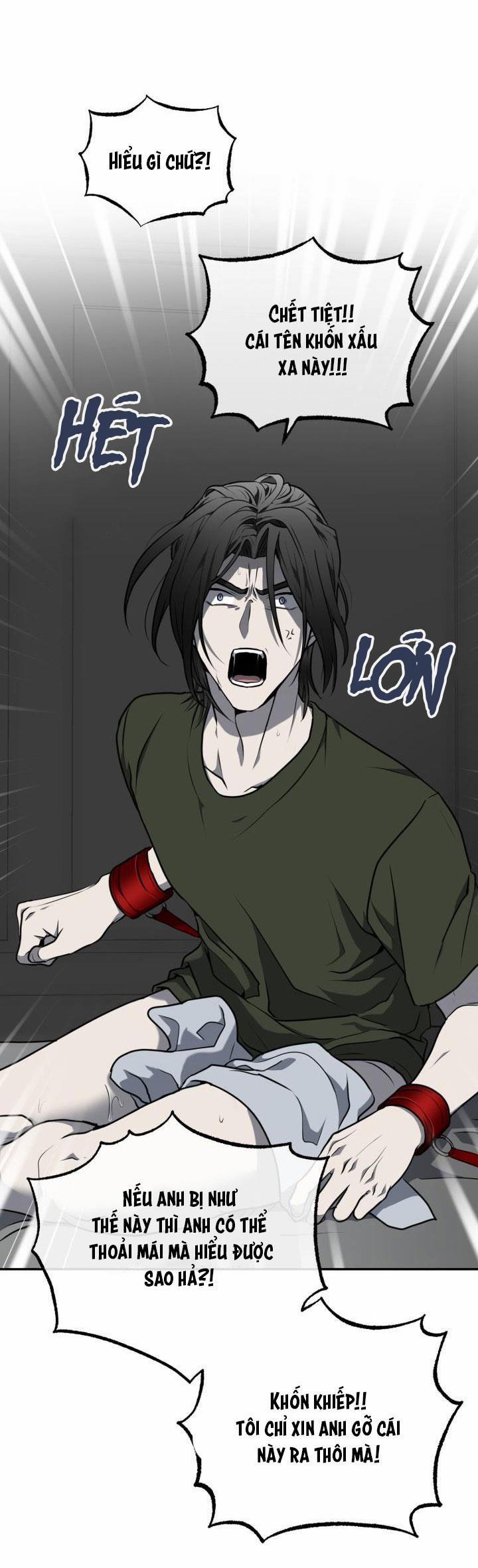 Vivarium 9.5 trang 12