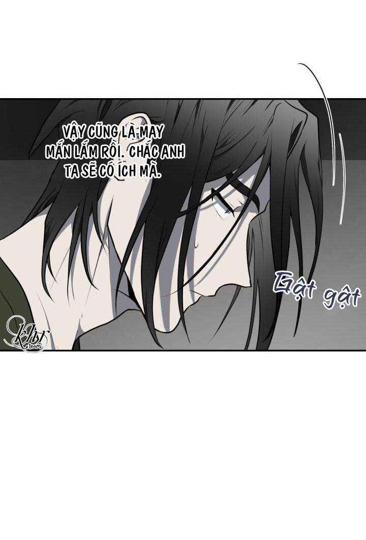 Vivarium 9.5 trang 22