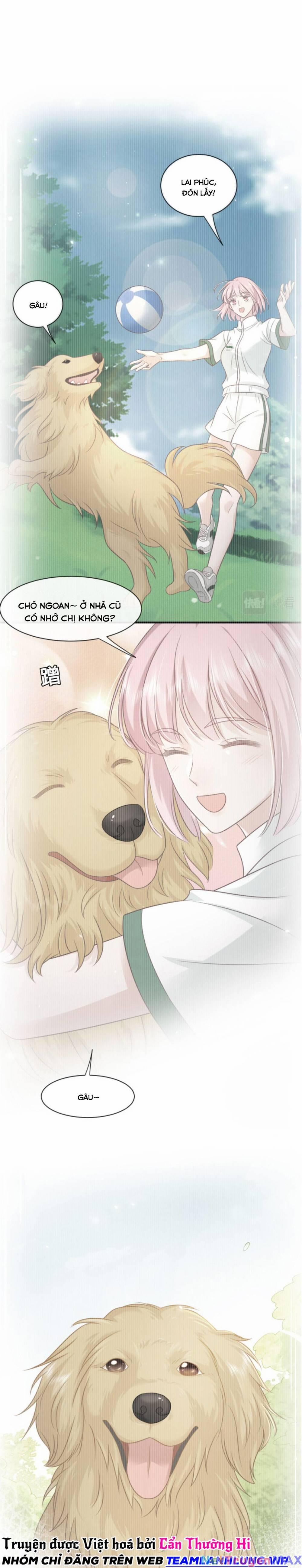 Vợ Ảnh Đế Lại Phá Hỏng Showbiz 25 trang 0