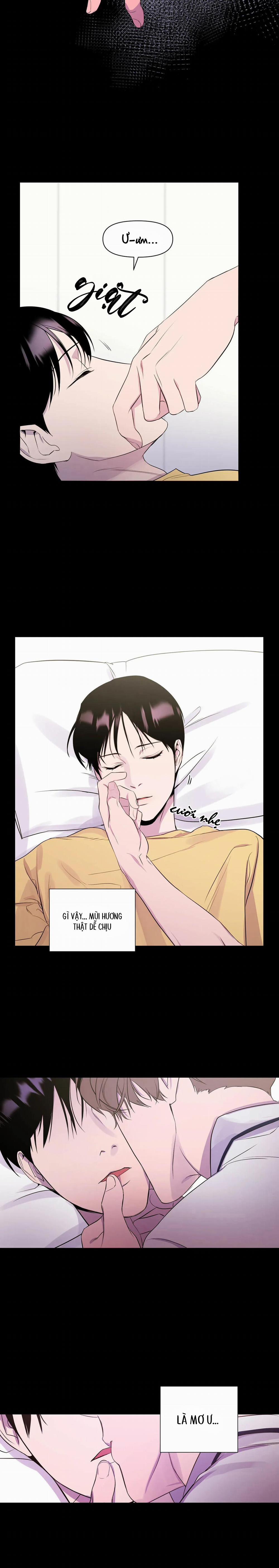 Vỏ Bọc Hoàn Hảo 3 trang 12