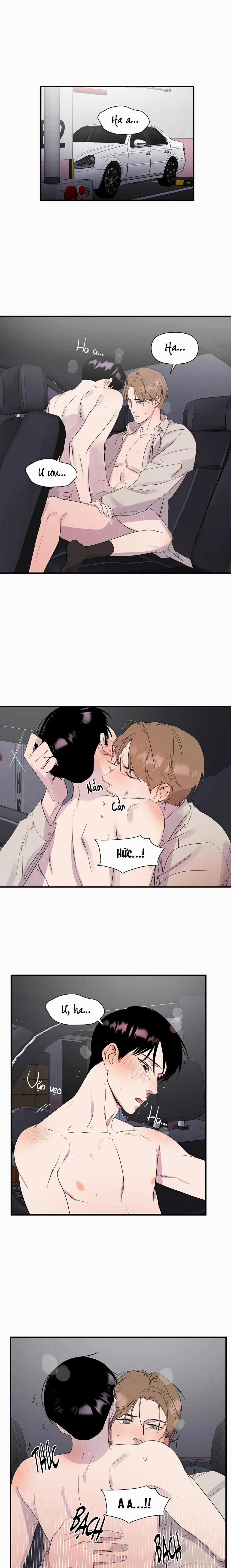 Vỏ Bọc Hoàn Hảo 5 trang 0