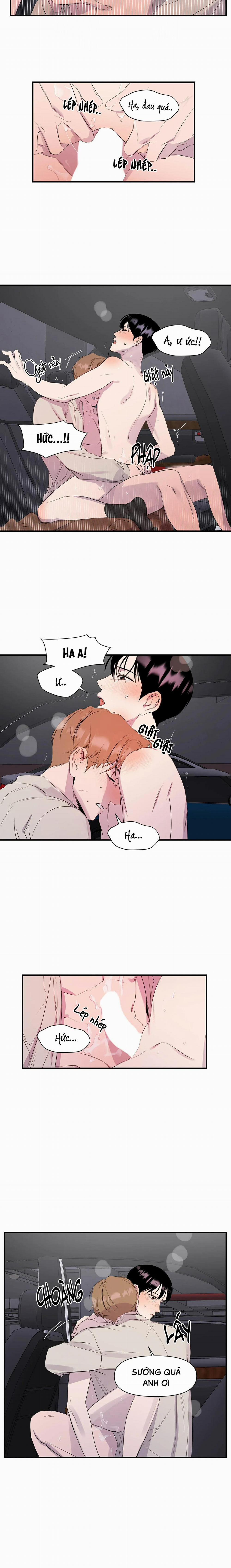 Vỏ Bọc Hoàn Hảo 5 trang 1