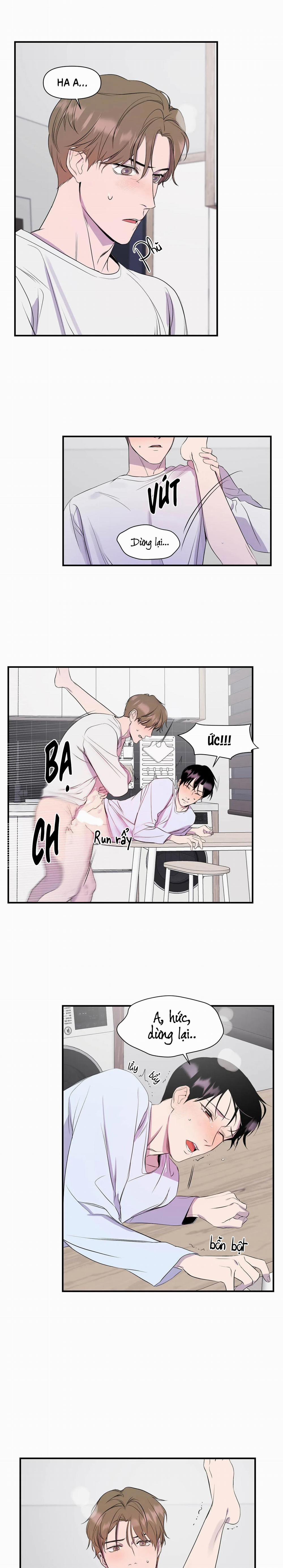 Vỏ Bọc Hoàn Hảo 6 trang 1