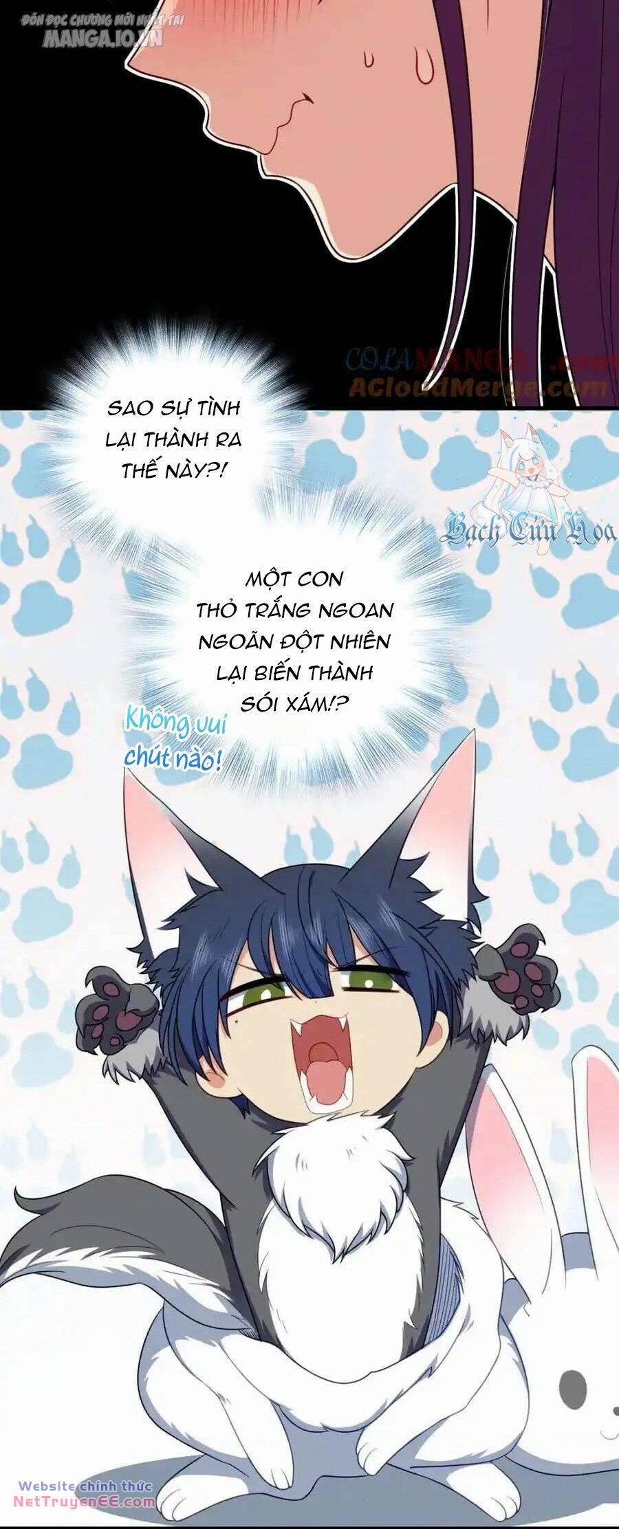 Vợ Ơi, Xin Hãy Ngoan Ngoãn Nhé 38 trang 11