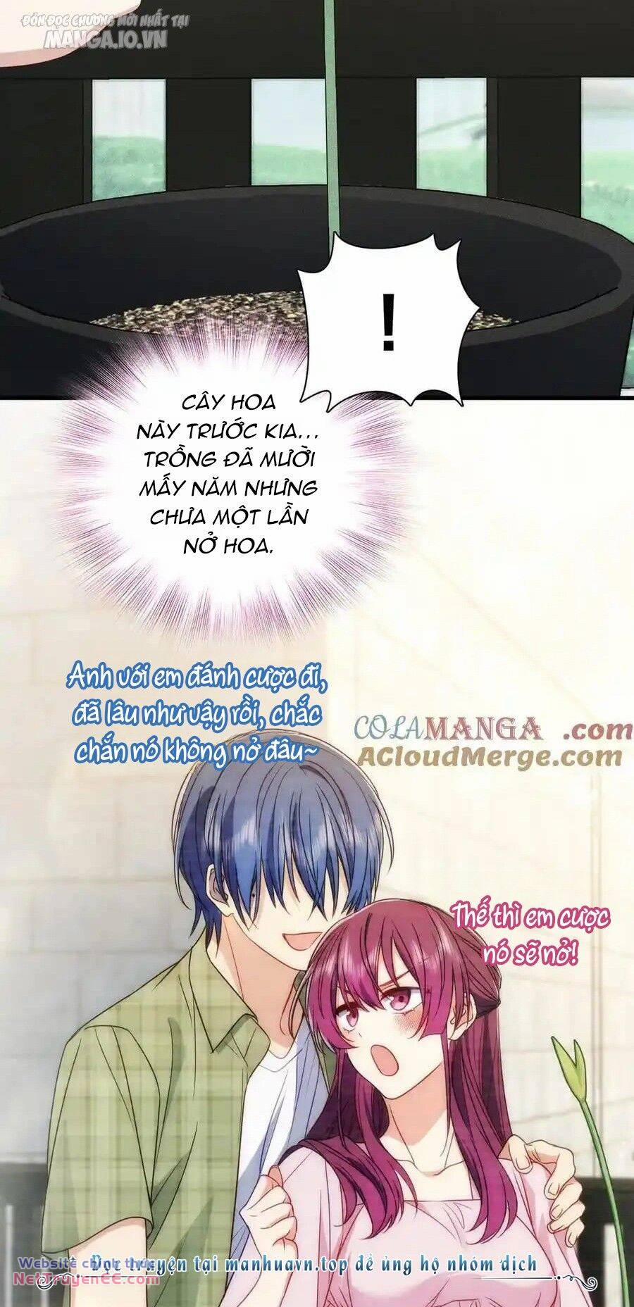 Vợ Ơi, Xin Hãy Ngoan Ngoãn Nhé 56 trang 27