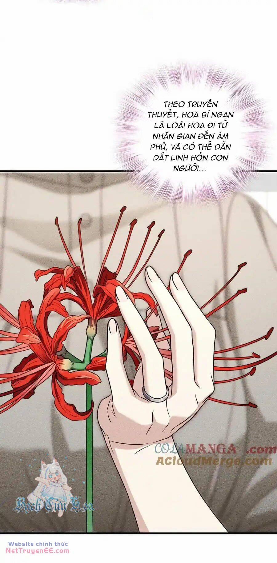 Vợ Ơi, Xin Hãy Ngoan Ngoãn Nhé 56 trang 29