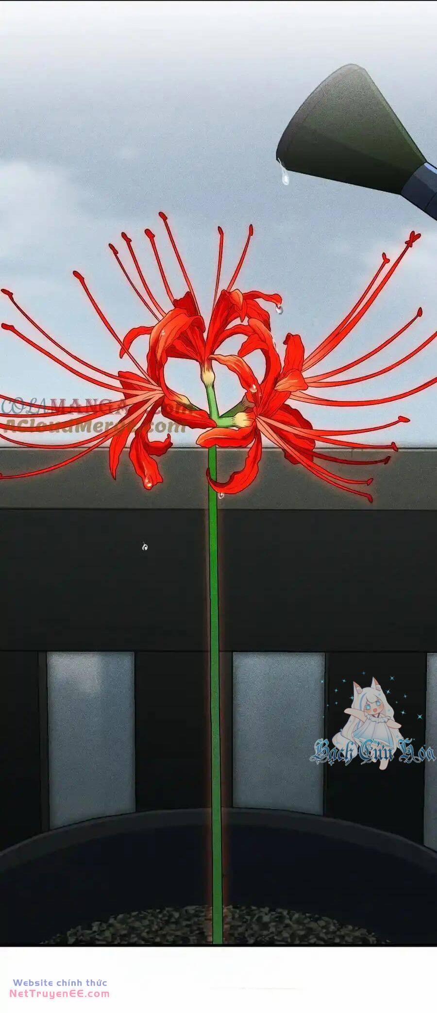 Vợ Ơi, Xin Hãy Ngoan Ngoãn Nhé 59 trang 2