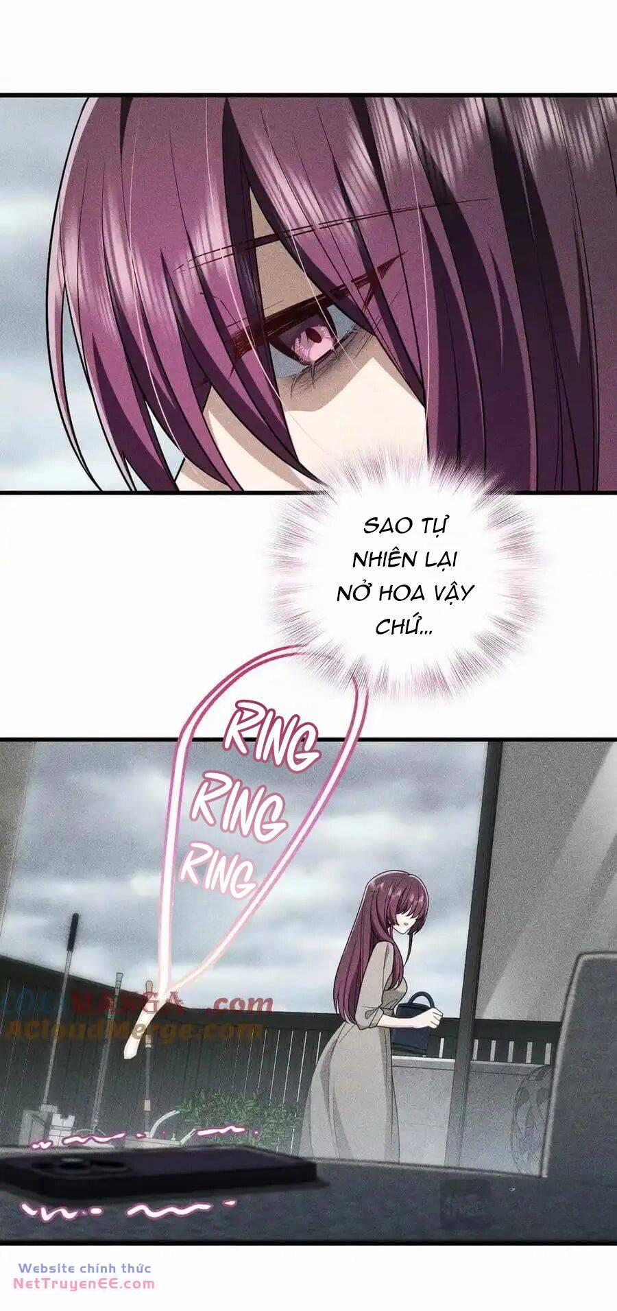 Vợ Ơi, Xin Hãy Ngoan Ngoãn Nhé 59 trang 3