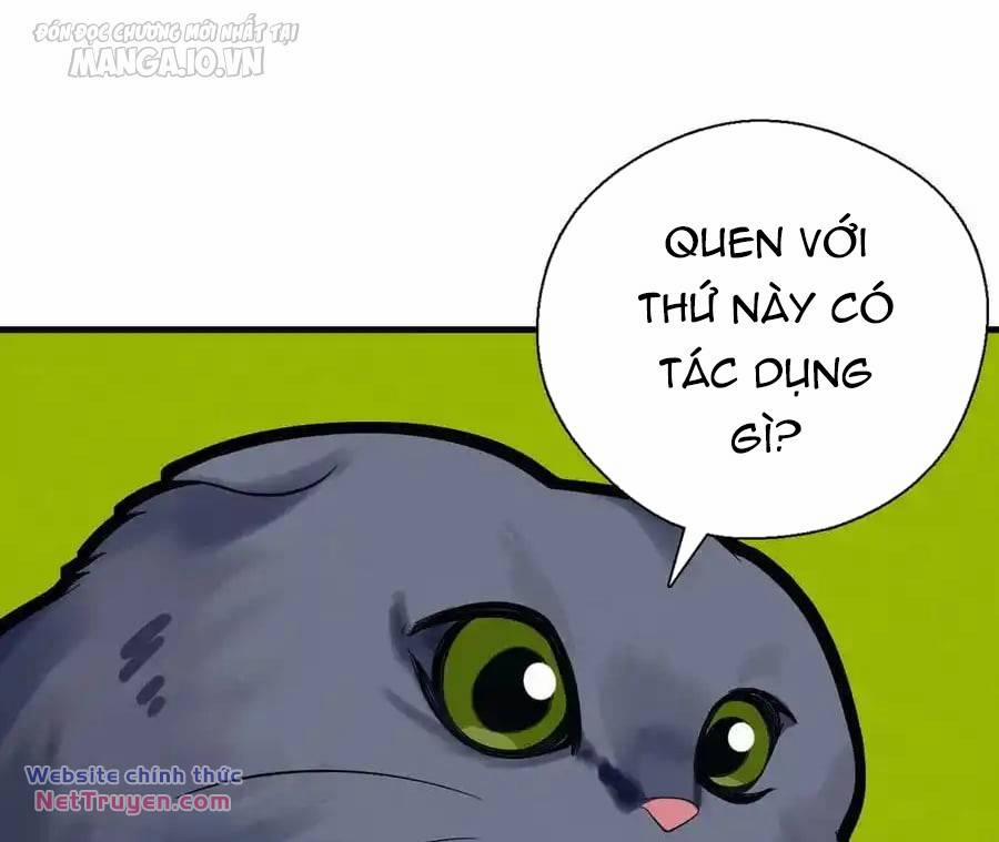 Vợ Ơi, Xin Hãy Ngoan Ngoãn Nhé 64 trang 108