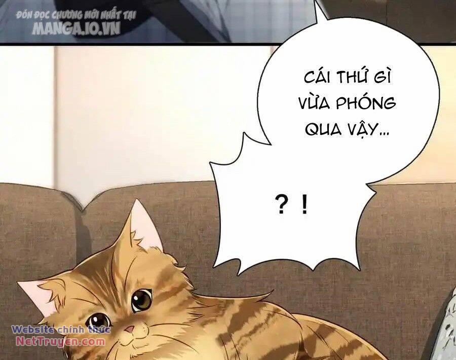 Vợ Ơi, Xin Hãy Ngoan Ngoãn Nhé 66 trang 71