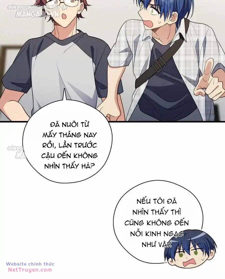 Vợ Ơi, Xin Hãy Ngoan Ngoãn Nhé 66 trang 74