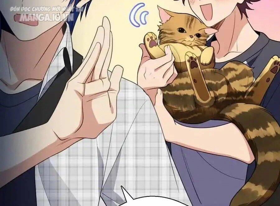 Vợ Ơi, Xin Hãy Ngoan Ngoãn Nhé 66 trang 77