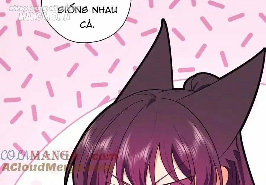 Vợ Ơi, Xin Hãy Ngoan Ngoãn Nhé 68 trang 48