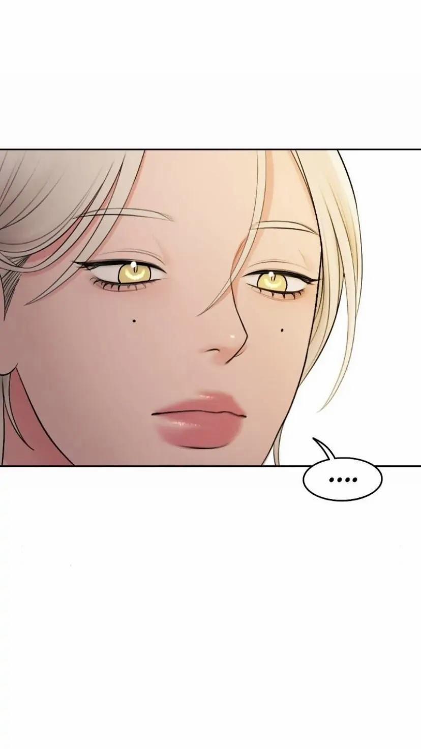 Vô Tình 27 0 27 trang 36