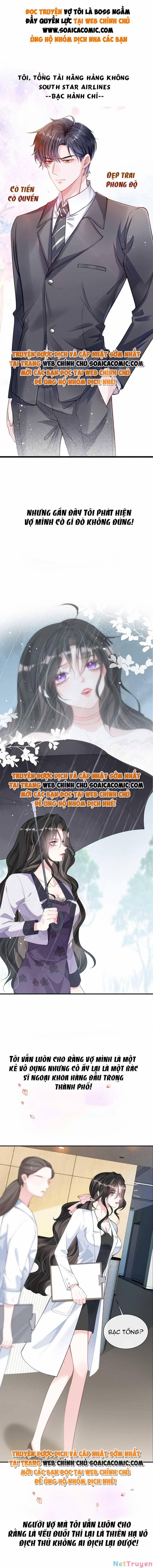 Vợ Tôi Là Boss Ngầm Đầy Quyền Lực 1 trang 1