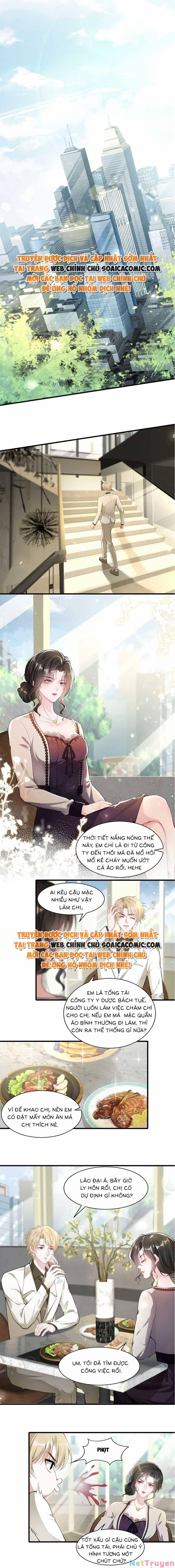 Vợ Tôi Là Boss Ngầm Đầy Quyền Lực 10 trang 4