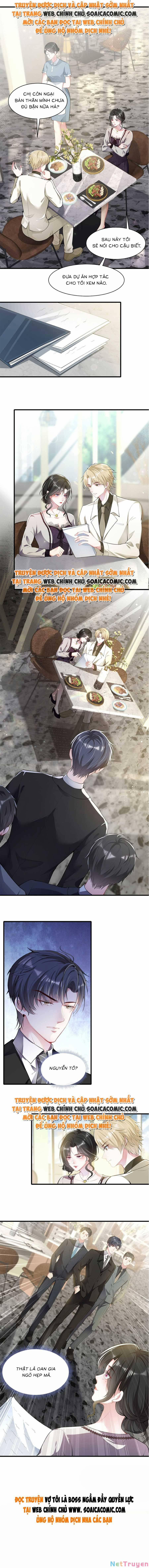 Vợ Tôi Là Boss Ngầm Đầy Quyền Lực 10 trang 5