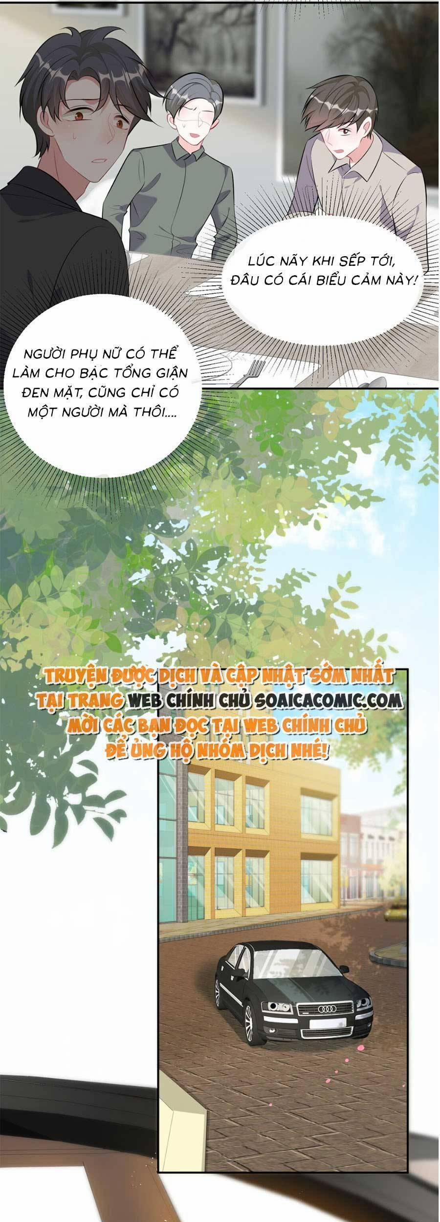 Vợ Tôi Là Boss Ngầm Đầy Quyền Lực 12 trang 12