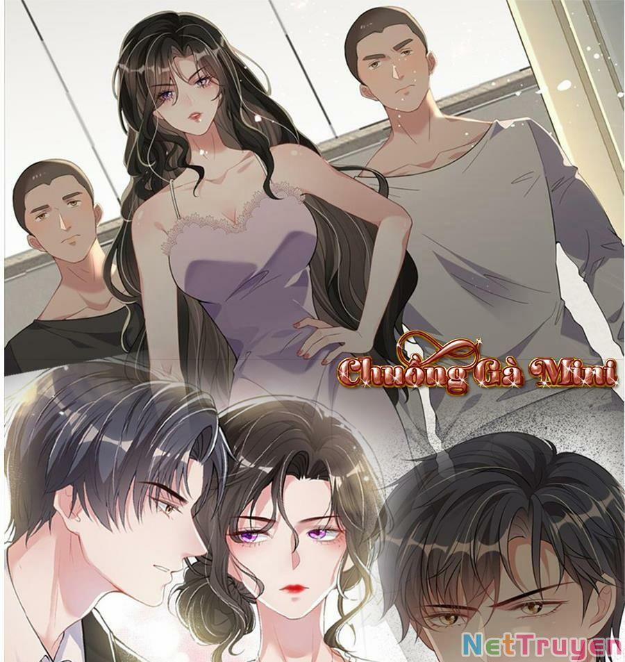 Vợ Tôi Là Boss Ngầm Đầy Quyền Lực 13 trang 0