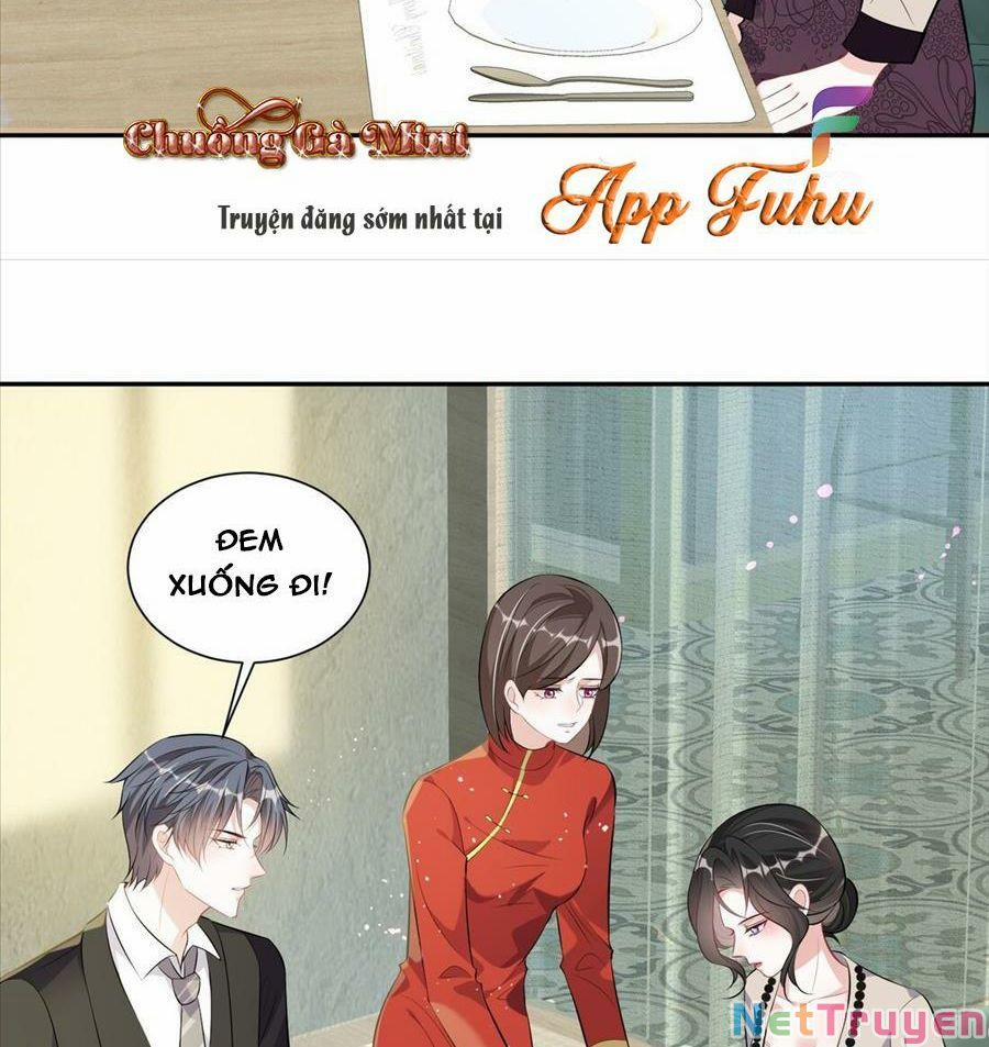 Vợ Tôi Là Boss Ngầm Đầy Quyền Lực 13 trang 19