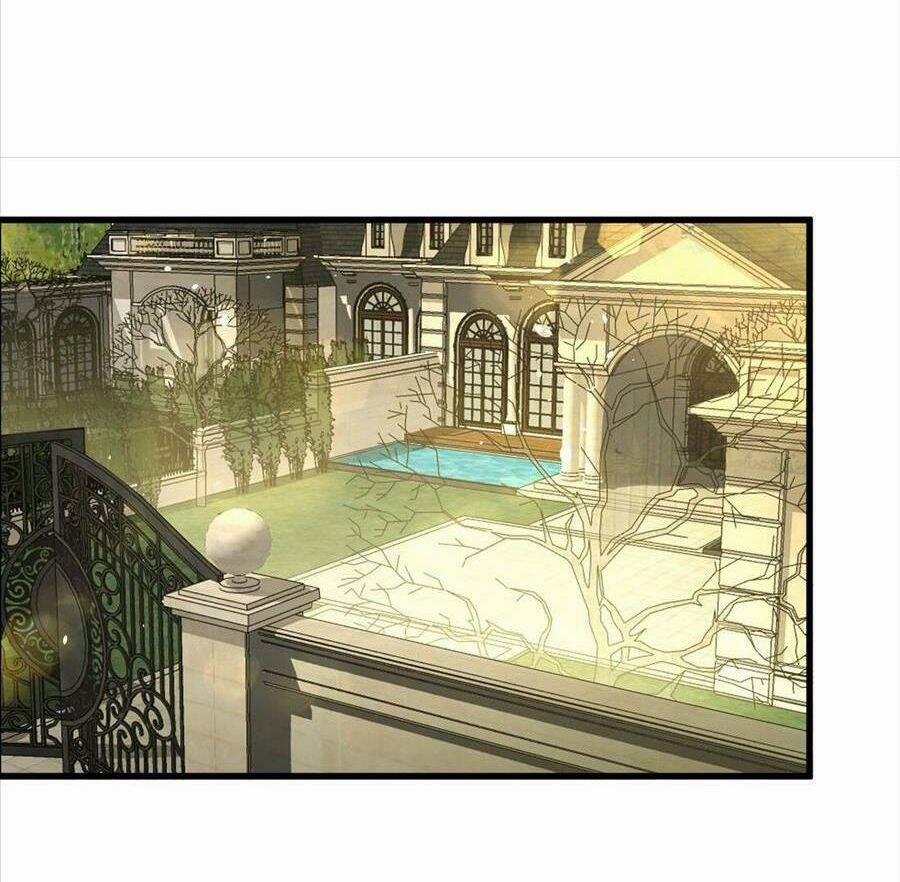 Vợ Tôi Là Boss Ngầm Đầy Quyền Lực 17 trang 11