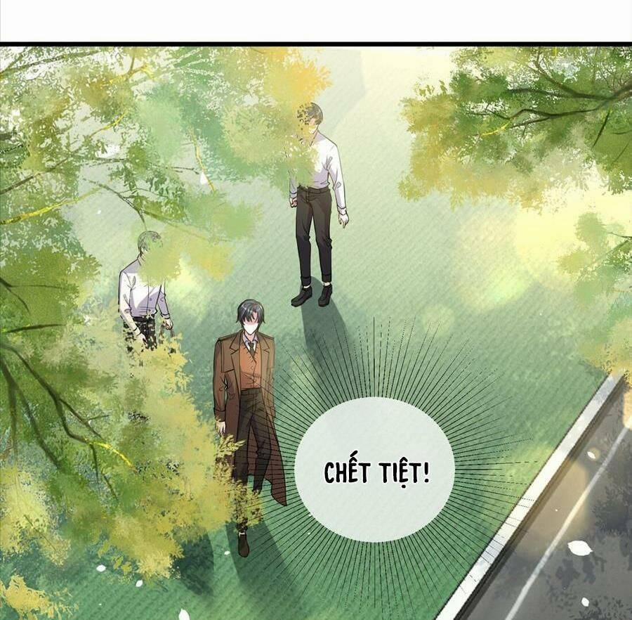 Vợ Tôi Là Boss Ngầm Đầy Quyền Lực 17 trang 8