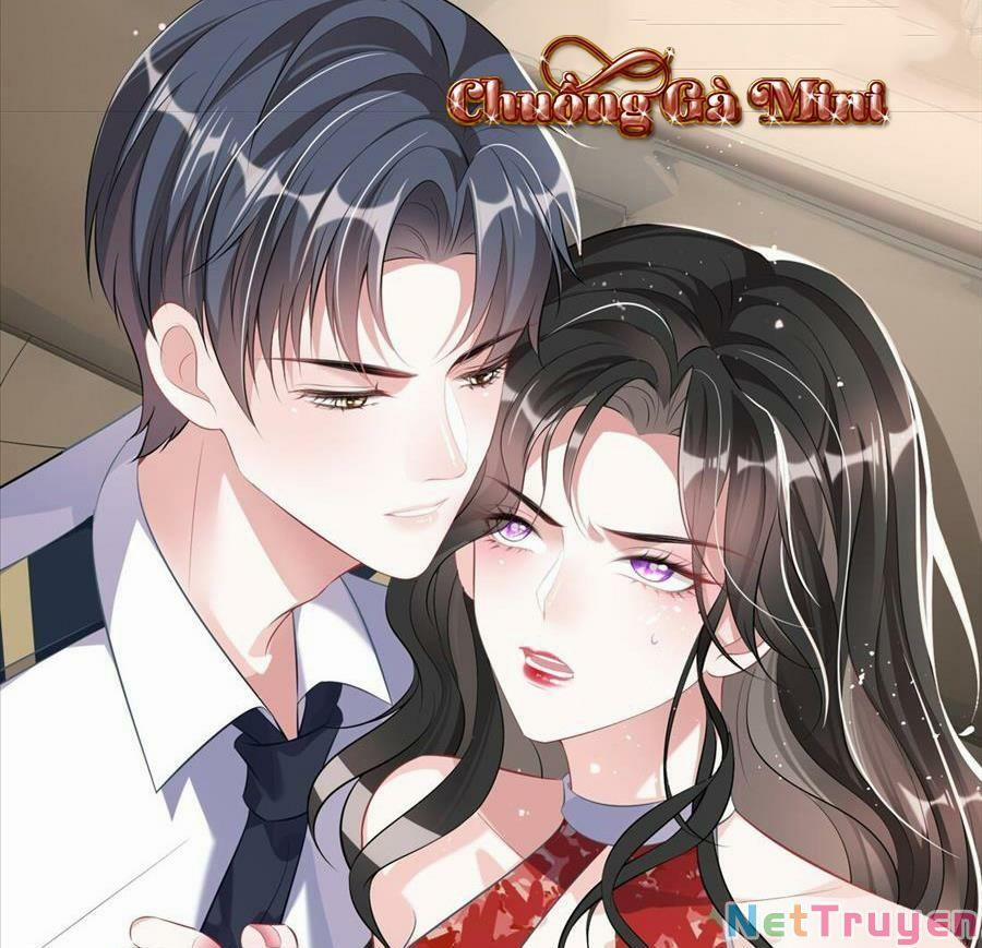 Vợ Tôi Là Boss Ngầm Đầy Quyền Lực 18 trang 0