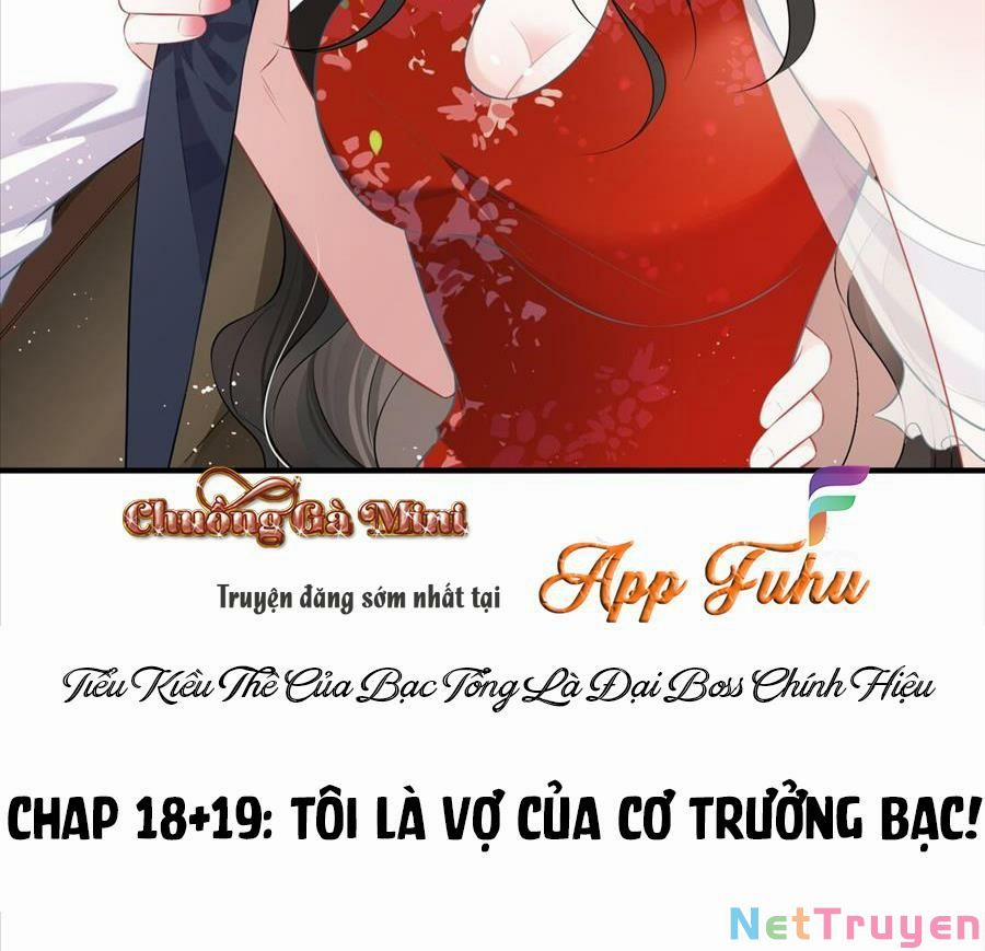 Vợ Tôi Là Boss Ngầm Đầy Quyền Lực 18 trang 32