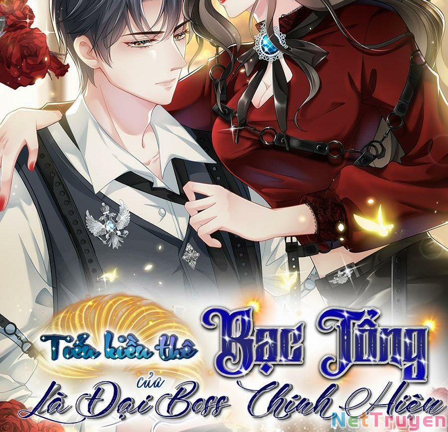 Vợ Tôi Là Boss Ngầm Đầy Quyền Lực 18 trang 39