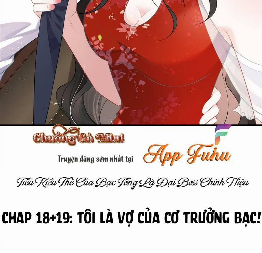 Vợ Tôi Là Boss Ngầm Đầy Quyền Lực 19 trang 32