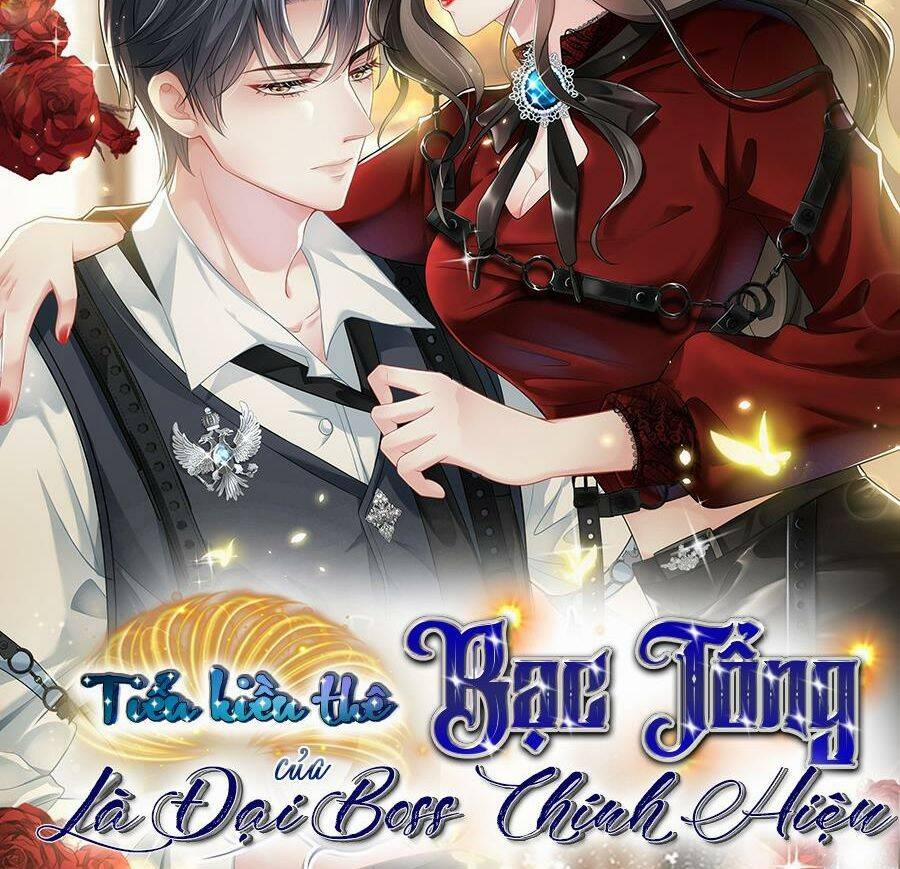 Vợ Tôi Là Boss Ngầm Đầy Quyền Lực 19 trang 39