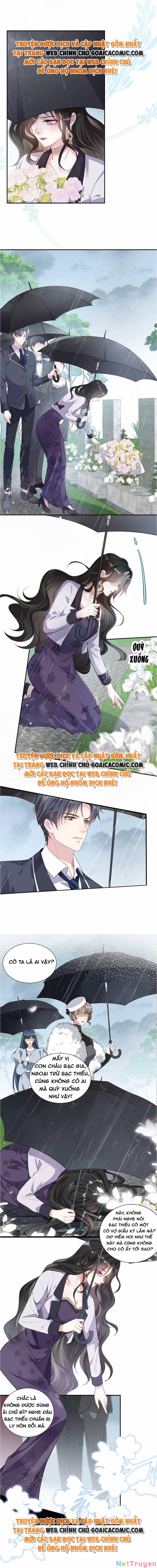 Vợ Tôi Là Boss Ngầm Đầy Quyền Lực 2 trang 3