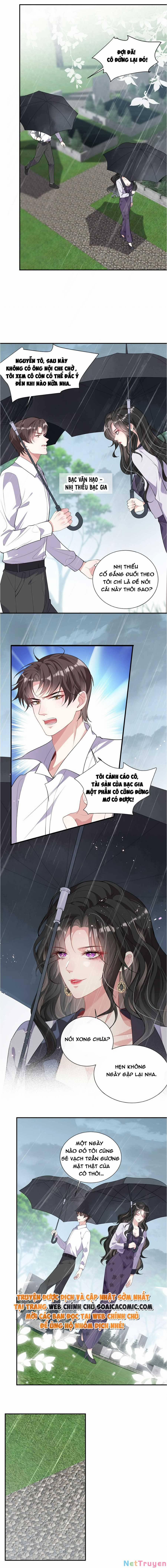 Vợ Tôi Là Boss Ngầm Đầy Quyền Lực 2 trang 4