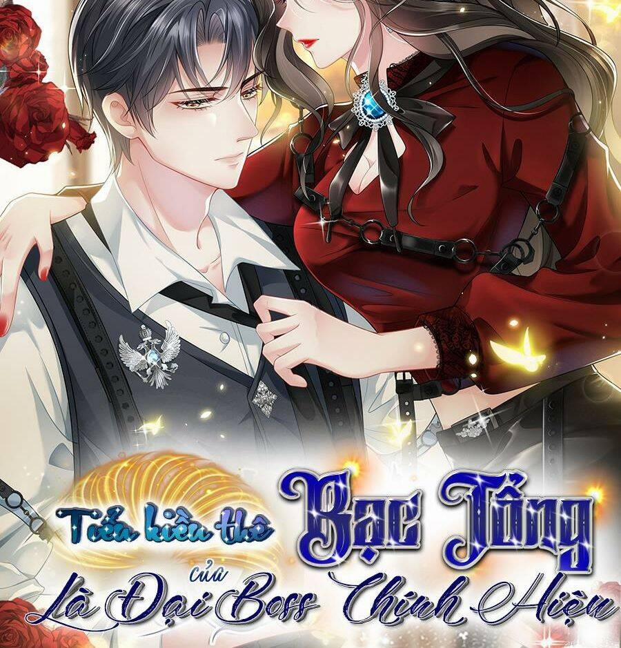 Vợ Tôi Là Boss Ngầm Đầy Quyền Lực 21 trang 39