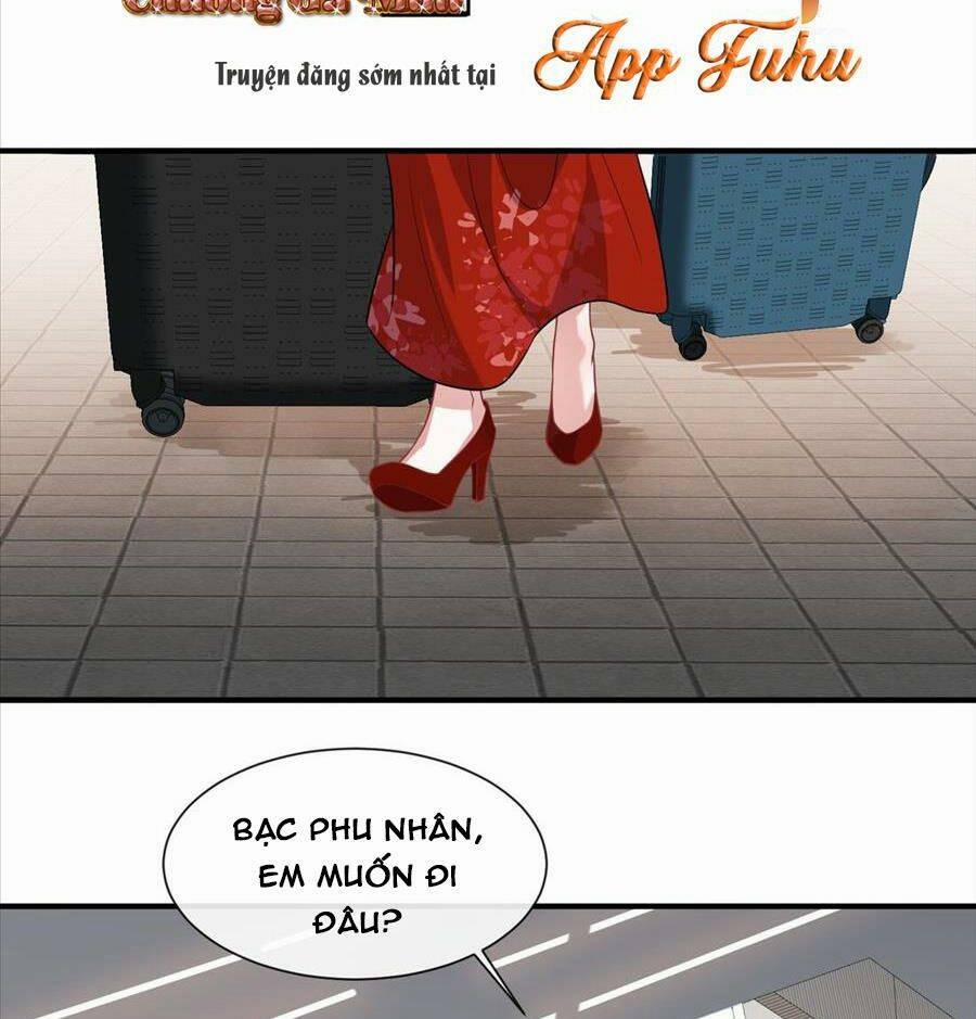 Vợ Tôi Là Boss Ngầm Đầy Quyền Lực 21 trang 8