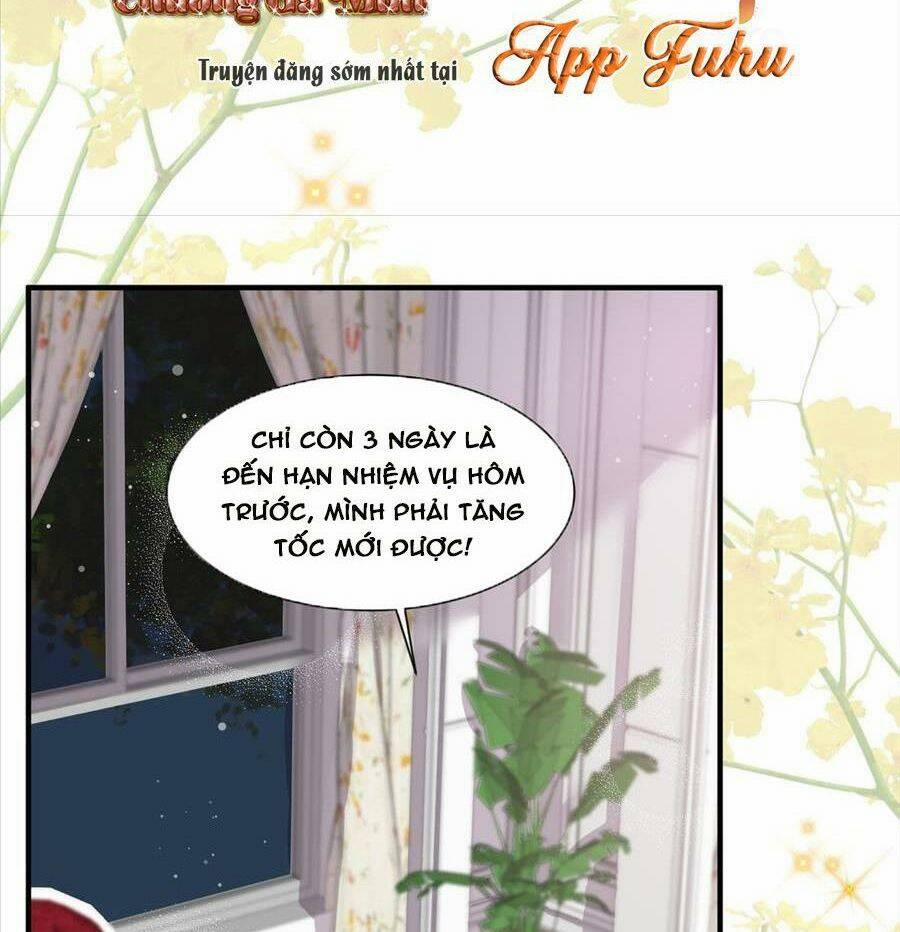 Vợ Tôi Là Boss Ngầm Đầy Quyền Lực 25 trang 13