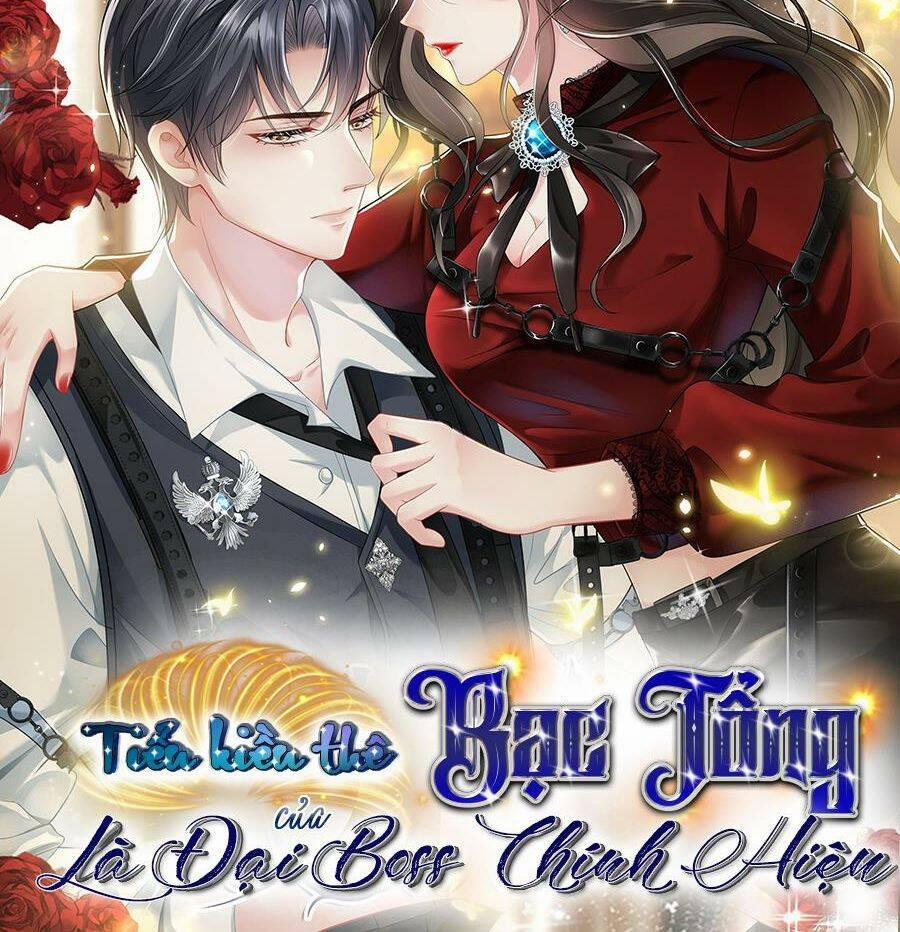 Vợ Tôi Là Boss Ngầm Đầy Quyền Lực 25 trang 39