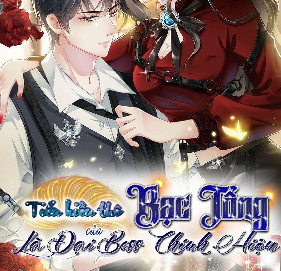 Vợ Tôi Là Boss Ngầm Đầy Quyền Lực 27 trang 39