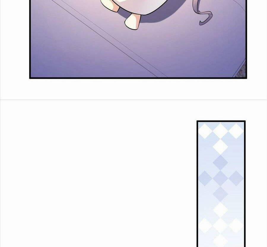 Vợ Tôi Là Boss Ngầm Đầy Quyền Lực 29 trang 12