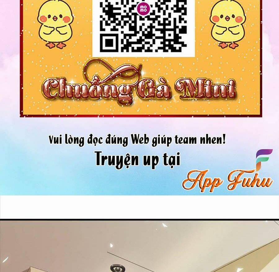 Vợ Tôi Là Boss Ngầm Đầy Quyền Lực 31 trang 13